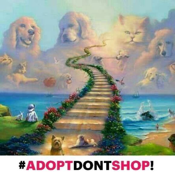 Meet your Posher, Pauline - Picture 1 of 1